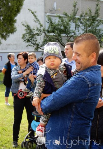 Életfát ültettünk 26